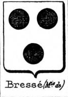 Bresse Coat of Arms / Family Crest 0