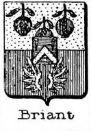 Briant Coat of Arms / Family Crest 1