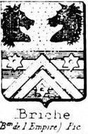 Briche Coat of Arms / Family Crest 0