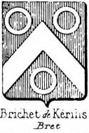 Brichet Coat of Arms / Family Crest 0