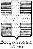 Briconneau Coat of Arms / Family Crest 0