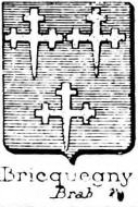 Bricquegny Coat of Arms / Family Crest 0