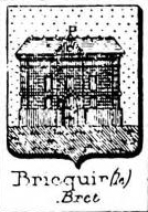 Bricquir Coat of Arms / Family Crest 0