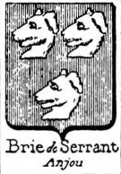Brie Coat of Arms / Family Crest 8