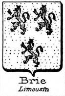 Brie Coat of Arms / Family Crest 1