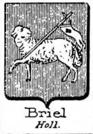 Briel Coat of Arms / Family Crest 2