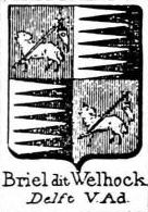 Briel Coat of Arms / Family Crest 3