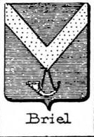 Briel Coat of Arms / Family Crest 4