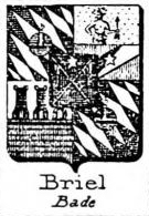 Briel Coat of Arms / Family Crest 1