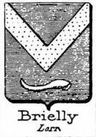 Brielly Coat of Arms / Family Crest 0