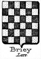 Briey Coat of Arms / Family Crest 0