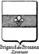 Brigaud Coat of Arms / Family Crest 0