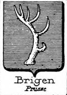 Brigen Coat of Arms / Family Crest 1