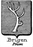 Brigen Coat of Arms / Family Crest 0