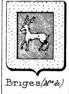 Briges Coat of Arms / Family Crest 0