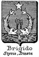 Brigido Coat of Arms / Family Crest 1