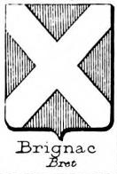 Brignac Coat of Arms / Family Crest 0