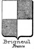 Brigneul Coat of Arms / Family Crest 0
