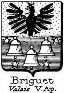 Briguet Coat of Arms / Family Crest 0