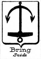 Bring Coat of Arms / Family Crest 0