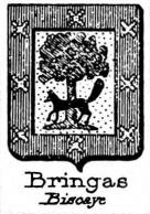 Bringas Coat of Arms / Family Crest 1