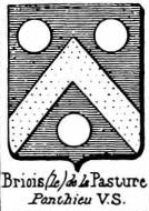 Briois Coat of Arms / Family Crest 3