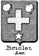 Briolet Coat of Arms / Family Crest 0