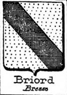 Briord Coat of Arms / Family Crest 0