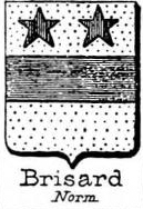 Brisard Coat of Arms / Family Crest 0