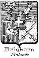 Briskorn Coat of Arms / Family Crest 1