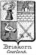 Briskorn Coat of Arms / Family Crest 0
