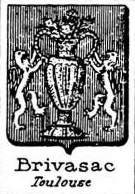 Brivasac Coat of Arms / Family Crest 0