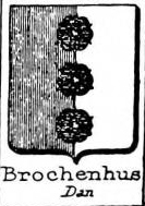 Brochenhus Coat of Arms / Family Crest 0