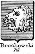 Brochowski Coat of Arms / Family Crest 0