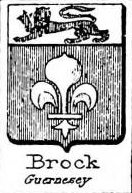 Brock Coat of Arms / Family Crest 4