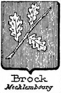 Brock Coat of Arms / Family Crest 6