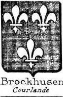 Brockhusen Coat of Arms / Family Crest 0