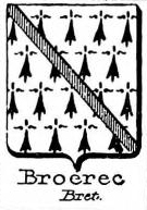 Broerec Coat of Arms / Family Crest 0