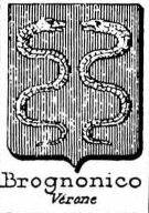 Brognonico Coat of Arms / Family Crest 0