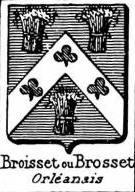 Broisset Coat of Arms / Family Crest 0