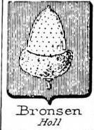 Bronsen Coat of Arms / Family Crest 0