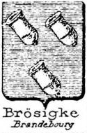 Brosigke Coat of Arms / Family Crest 2