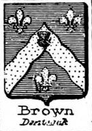 Brown Coat of Arms / Family Crest 1