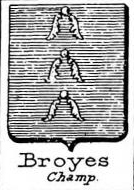 Broyes Coat of Arms / Family Crest 0