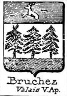 Bruchez Coat of Arms / Family Crest 0
