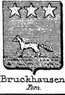 Bruckhausen Coat of Arms / Family Crest 0