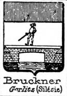 Bruckner Coat of Arms / Family Crest 4