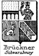 Bruckner Coat of Arms / Family Crest 1