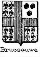 Brucsauwe Coat of Arms / Family Crest 0