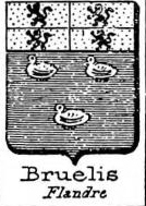 Bruelis Coat of Arms / Family Crest 0